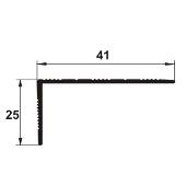 ASR417 - Protectie treapta cu rizuri din eloxALUM20, 41x25 mm